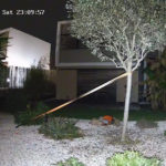 Camera avec lumière blanche sans éclairage
